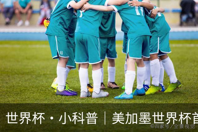 世界杯·小科普｜美加墨世界杯首粒点球是如何发生的？