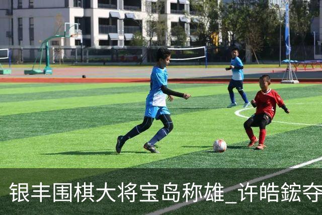 银丰围棋大将宝岛称雄 许皓鋐夺中国台湾名人赛冠军