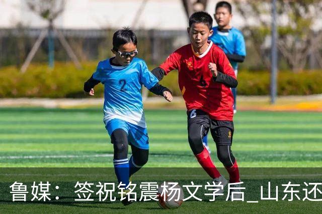 鲁媒：签祝铭震杨文学后 山东还在积极接触其他有实力的国内球员